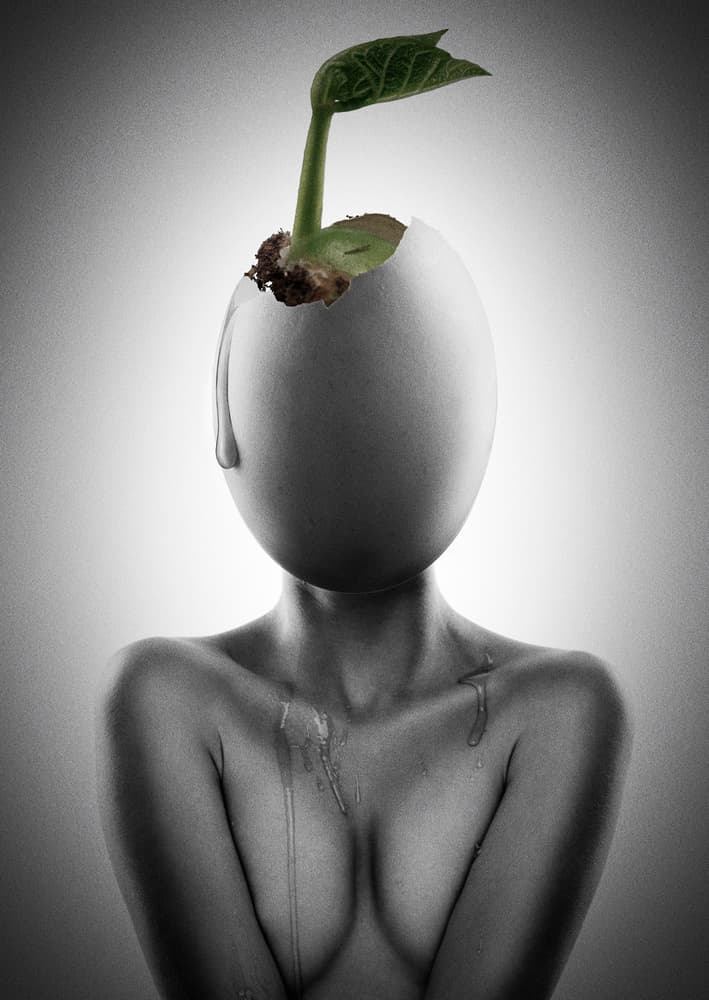 Emerging Egg Sprout by Jackson Carvalho — canvas wall art