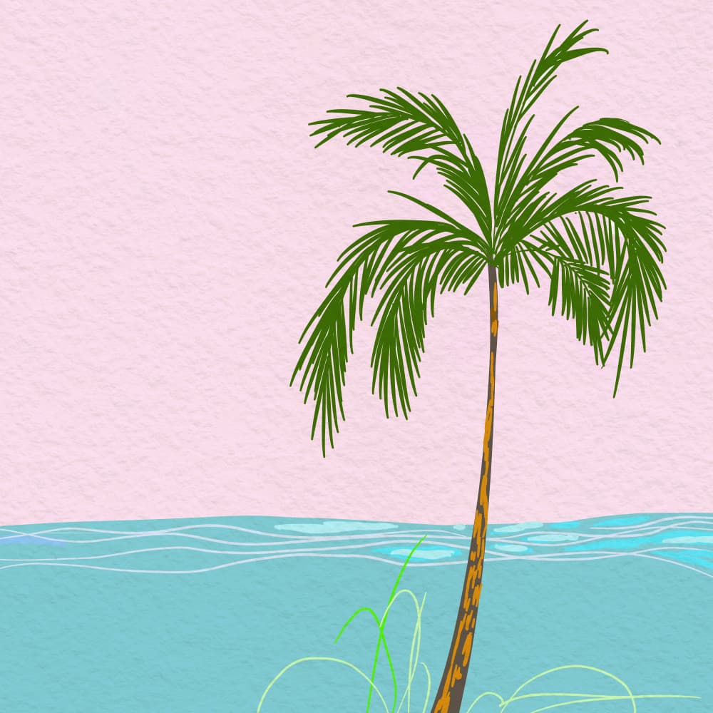 Pink Sky Palm Beach by Josie George — canvas wall art