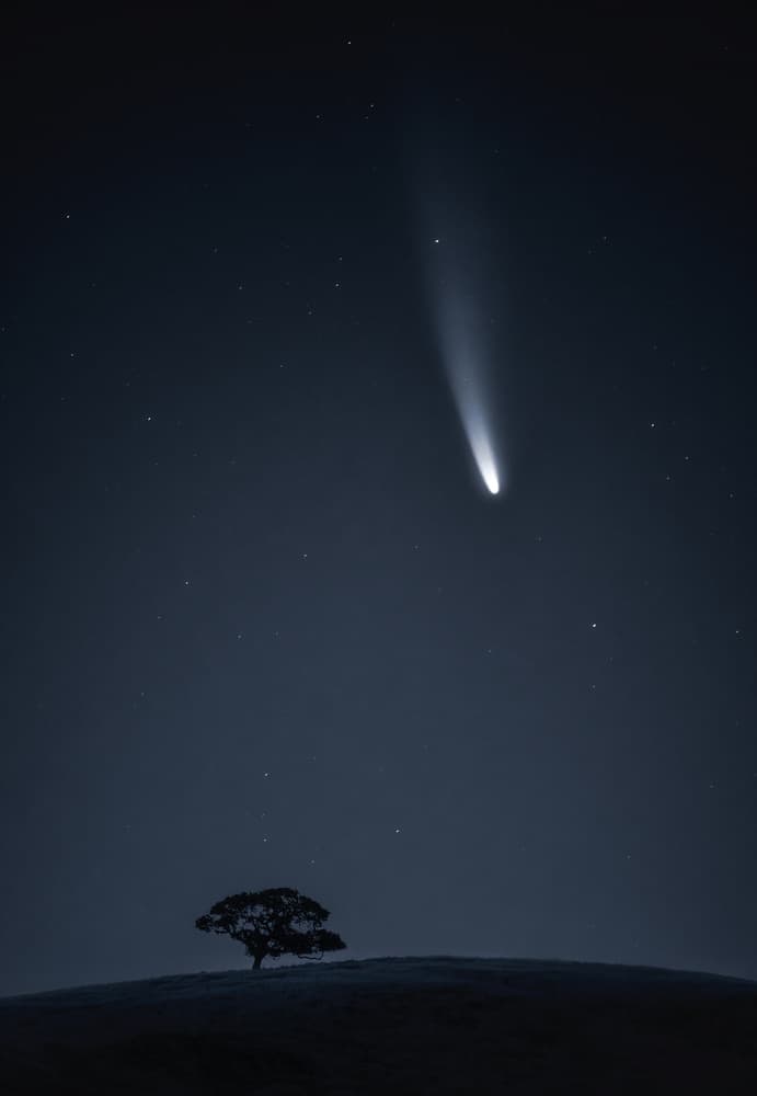 Comet Over Lone Tree by Aidong Ning — canvas wall art