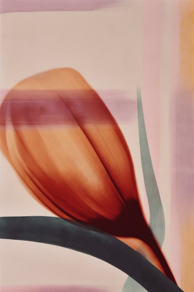 Tulip in Motion by Treechild — canvas wall art