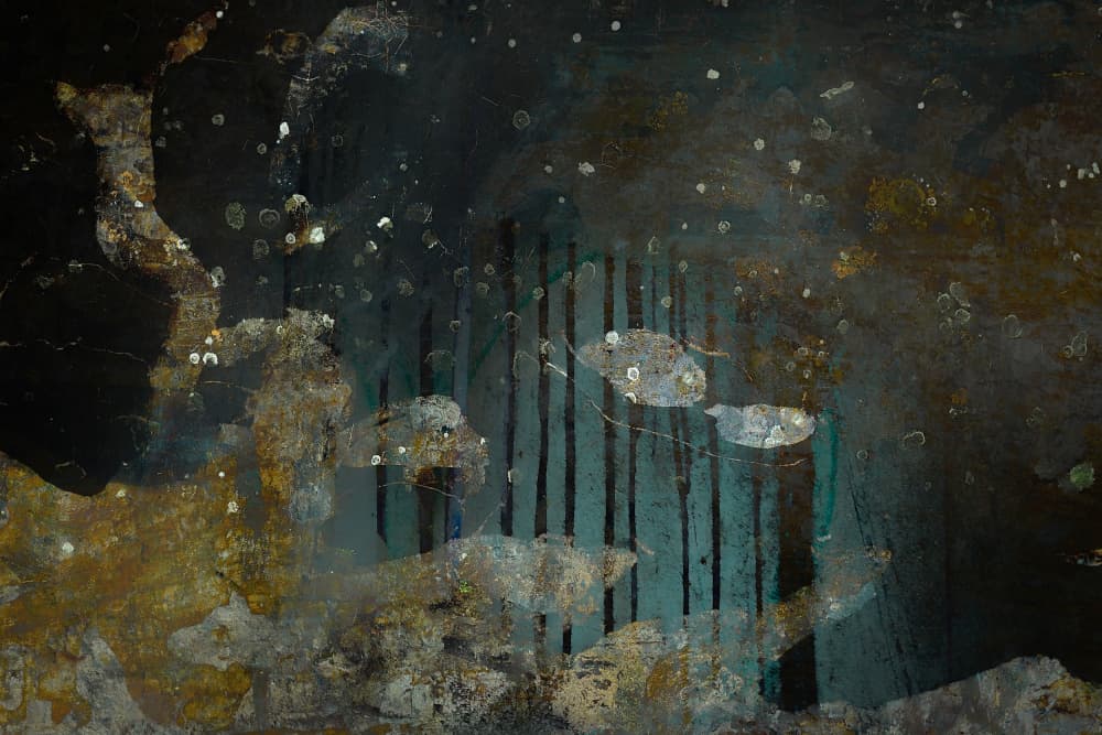 Captured by Nel Talen — canvas wall art