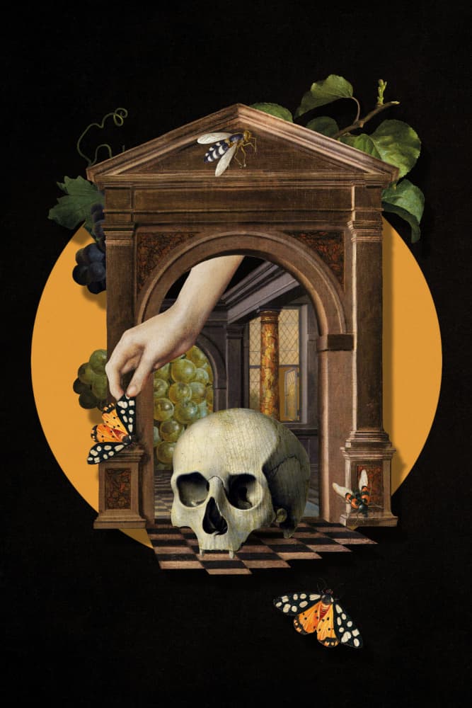Vanitas Skull and Hand by Marja van den Hurk — canvas wall art