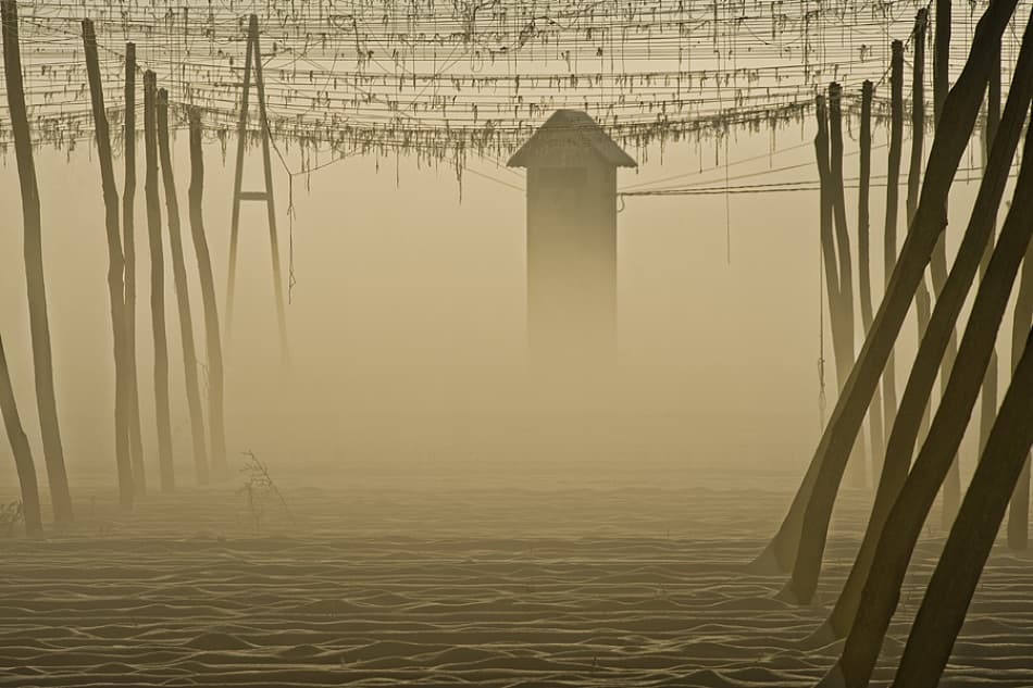 Misty Field Poles by Jure Kravanja — canvas wall art