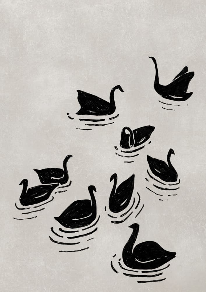 Elegant Black Swans by Rosana Laiz Blursbyai — canvas wall art
