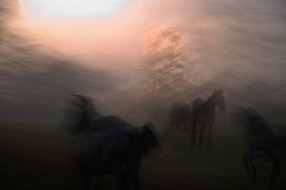 Restlessness by Milan Malovrh — canvas wall art