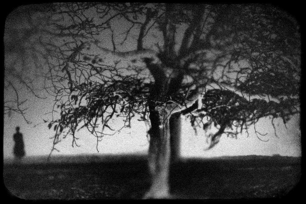 Solitary Figure Tree by Teruhiko Tsuchida — canvas wall art