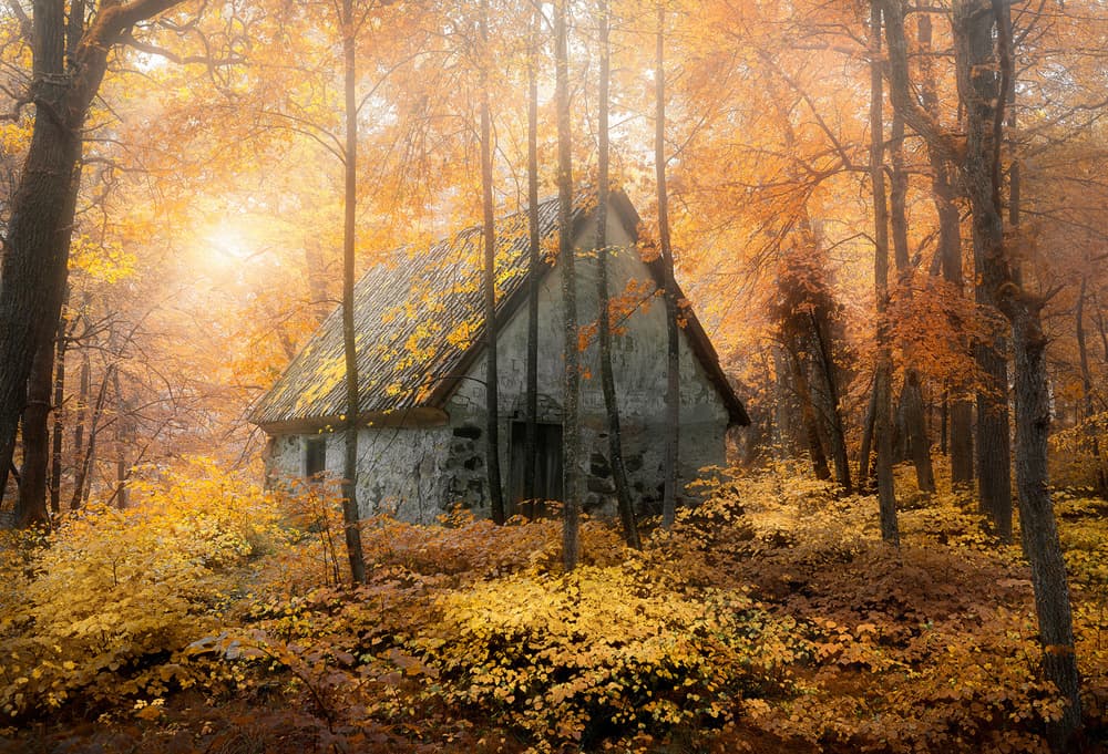 Enchanted Autumn Cabin by Christian Lindsten — canvas wall art