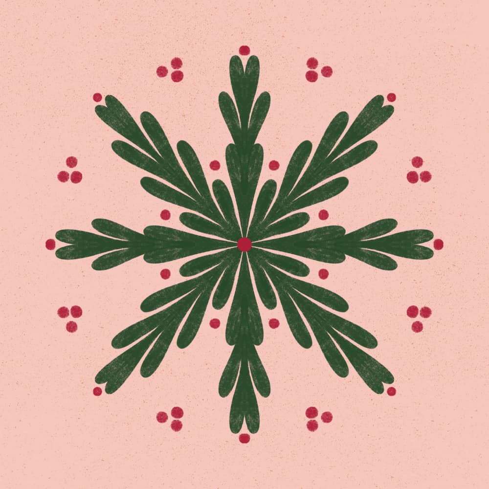 Holiday Berry Snowflake by Angela Minca — canvas wall art
