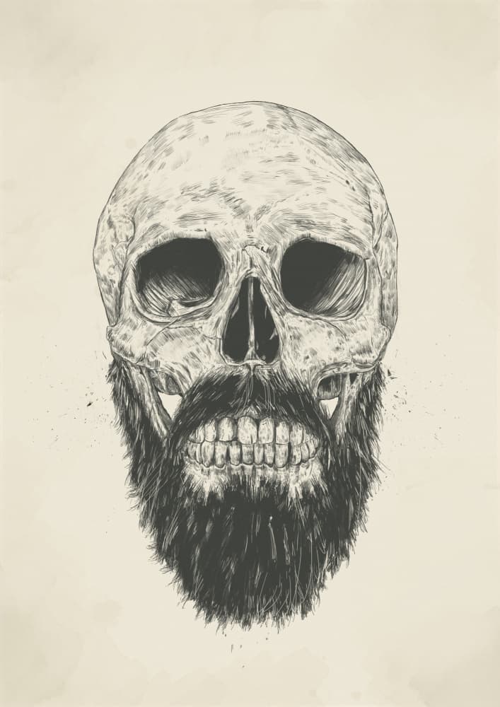 Bearded Skull Illustration by Balazs Solti — canvas wall art