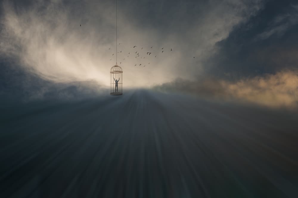 Dreams Of Freedom by Uschi Hermann — canvas wall art