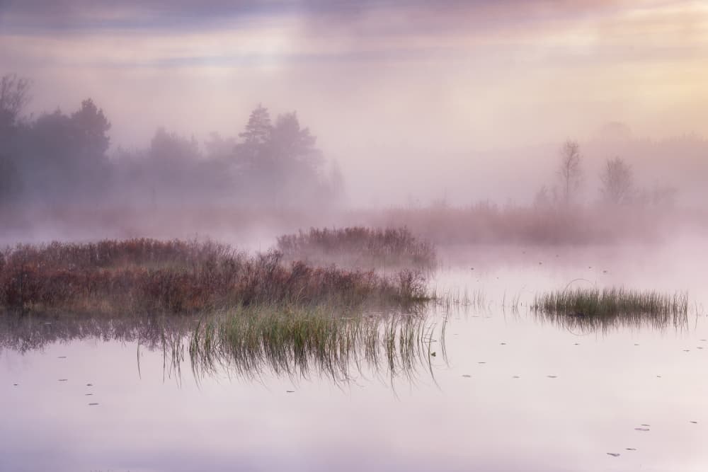 Ethereal Lake Mist by Benny Pettersson — canvas wall art