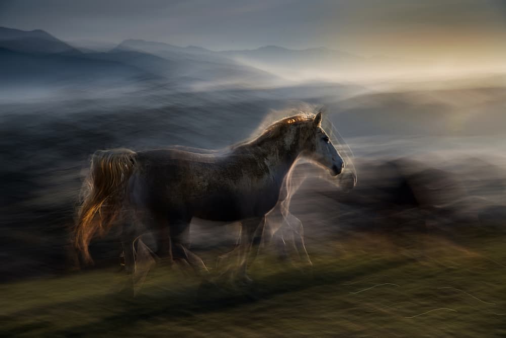 Spirit Horse Mountain by Milan Malovrh — canvas wall art