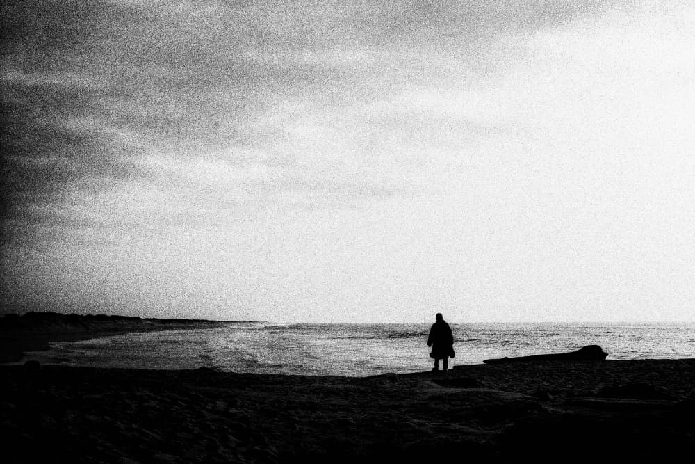 Contemplative Coastal View by Paulo Abrantes — canvas wall art
