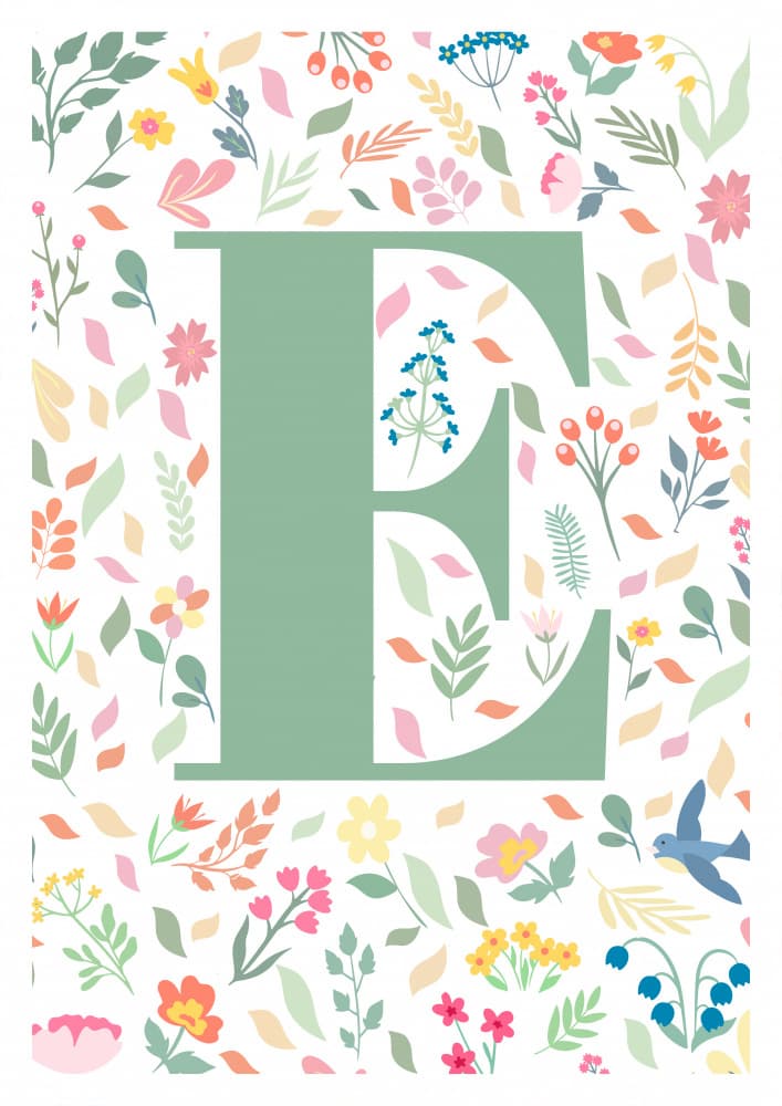 Floral Letter E by Sarah Manovski — canvas wall art