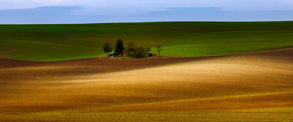 Green and Brown Fields by Slawomir Kowalczyk AFRP FIAP IAAP — canvas wall art