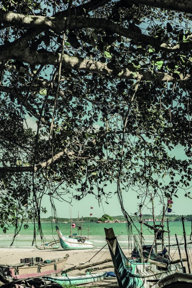 Coastal Serenity by Shot by Clint — canvas wall art