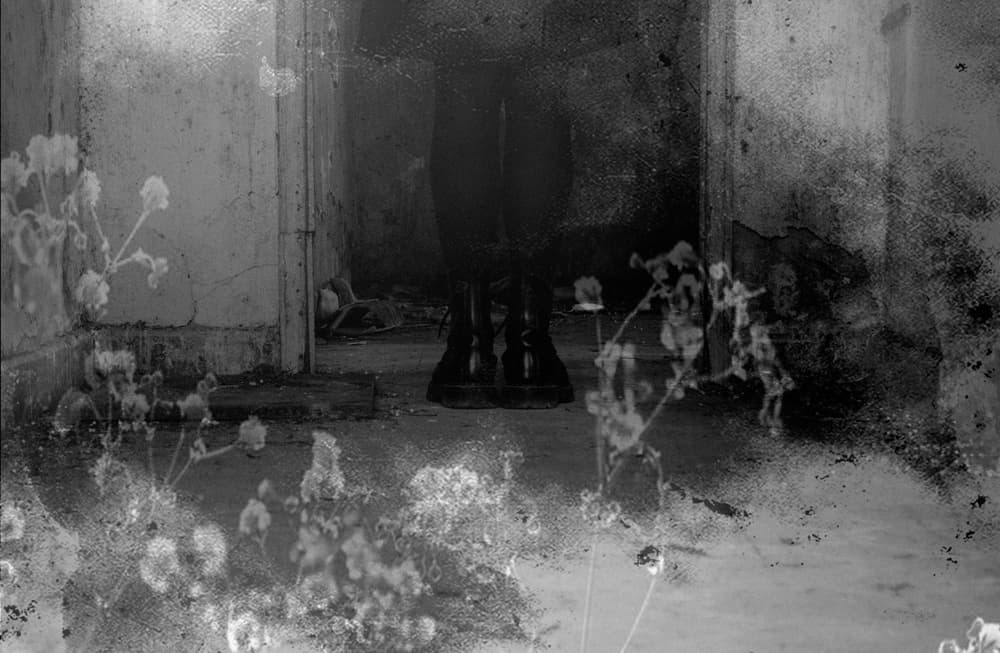 Eerie Boots and Bloom by Milena Seita — canvas wall art