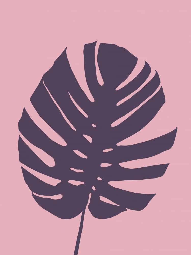 Pink Monstera Leaf by Vitor Costa — canvas wall art