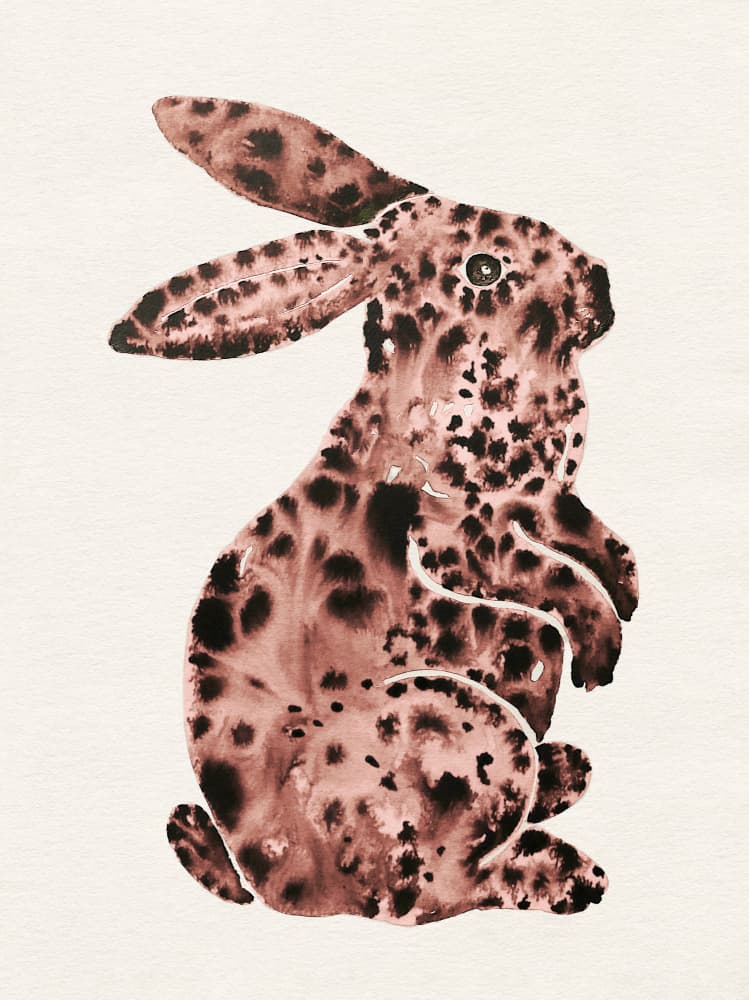 Rose Spotted Rabbit by Santhosh ch — canvas wall art