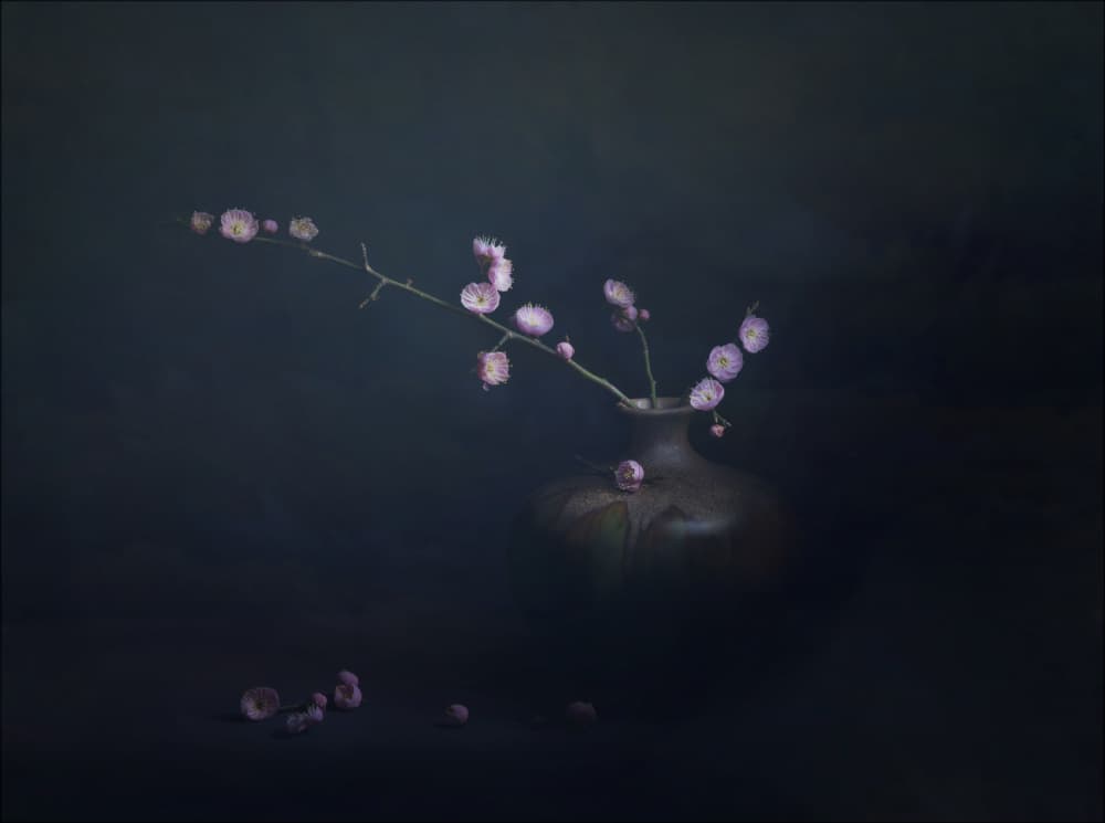 Plum Blossom Still Life by John-Mei Zhong — canvas wall art