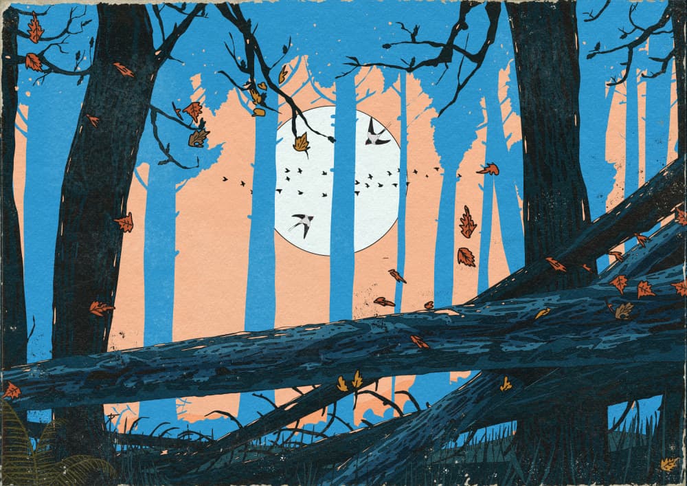 Moonlit Forest Birds by Nicholas — canvas wall art