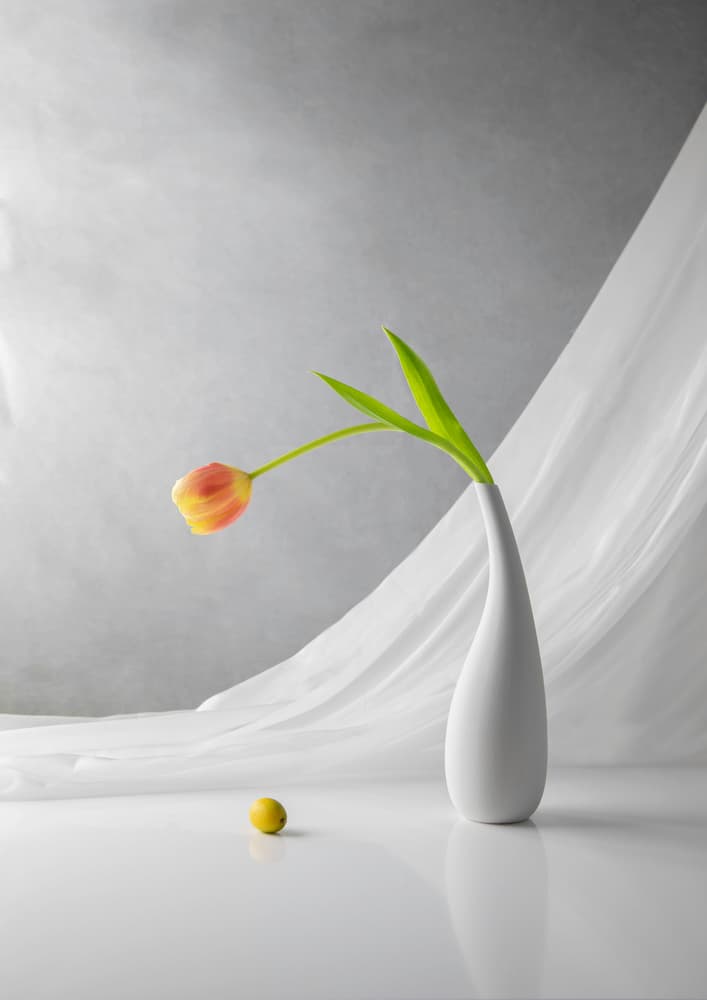 Elegant Tulip Vase by Binbin L. — canvas wall art