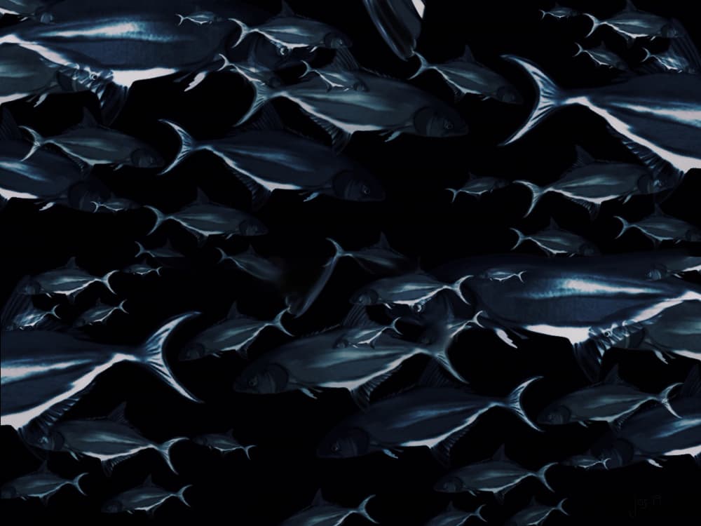 Deep Sea School by Jocelyn Wortley — canvas wall art