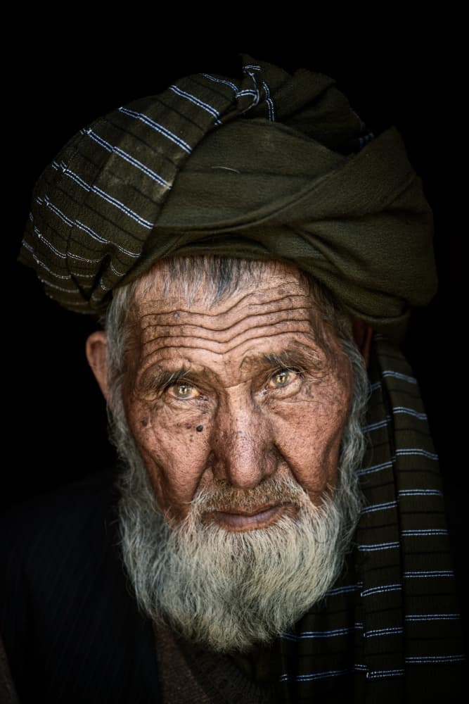 Wise Old Man Portrait by Trevor Cole — canvas wall art