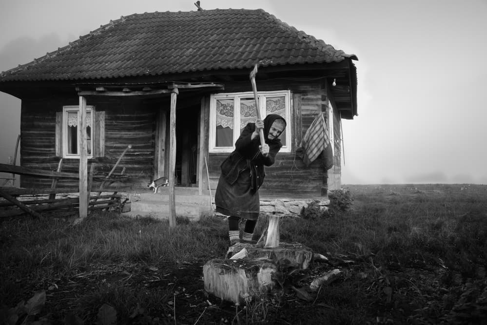 Misty Rural Wood Chopping by Todor Tanev — canvas wall art