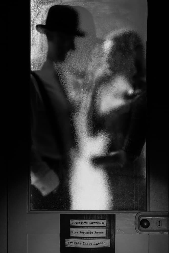 Private Investigation Noir by Colin Dixon — canvas wall art