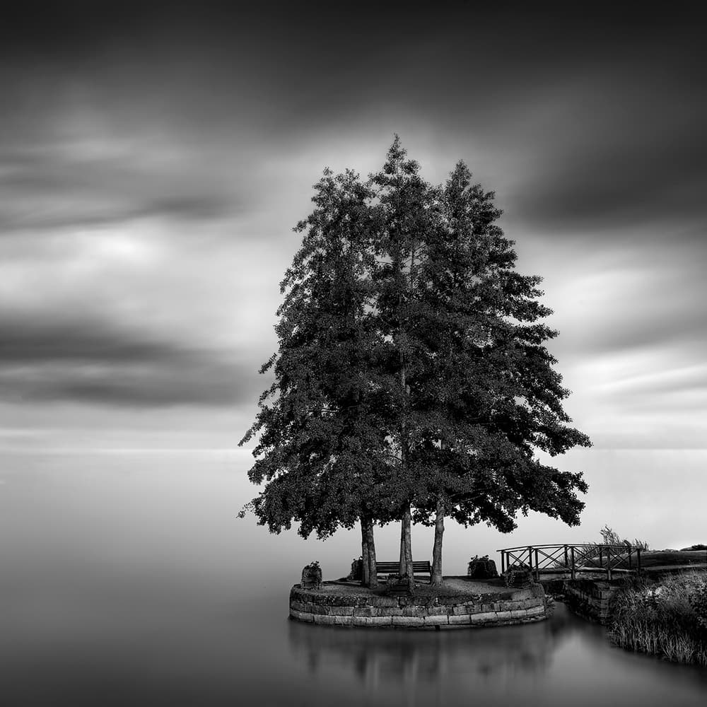 Serene Island Trees by George Digalakis — canvas wall art