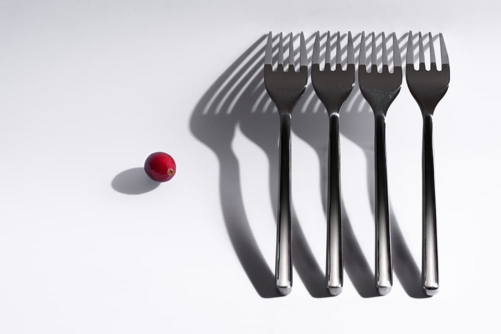 Red Cranberry Forks by Drazen Sokac — canvas wall art