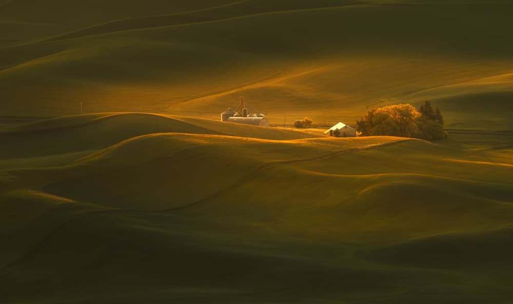 Golden Rolling Hills by James Lu — canvas wall art