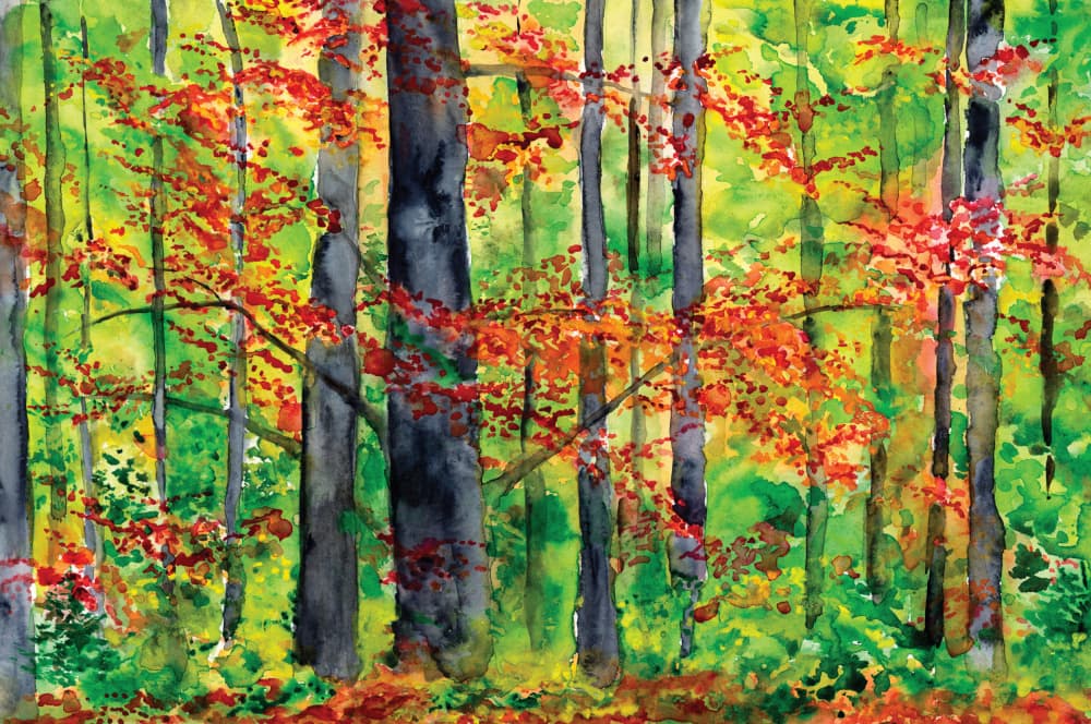 Autumn Forest Glow by RodMacIver — canvas wall art