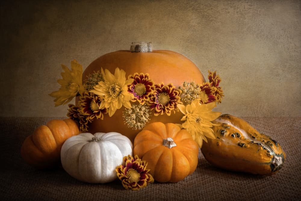 Autumn Harvest Pumpkins by Jacky Parker — canvas wall art
