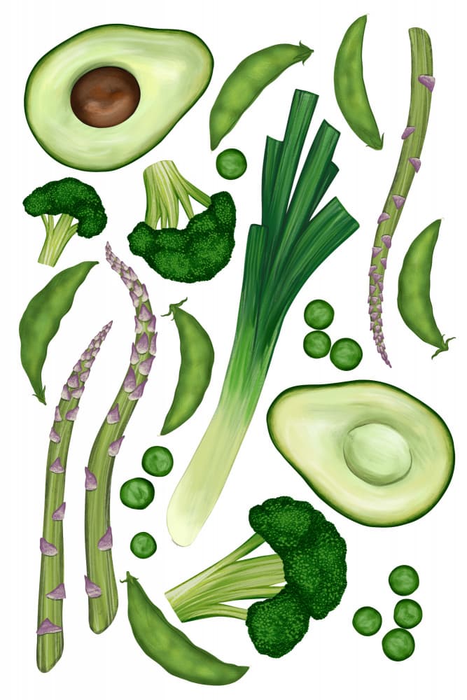 Fresh Green Vegetables by EMELIEmaria — canvas wall art