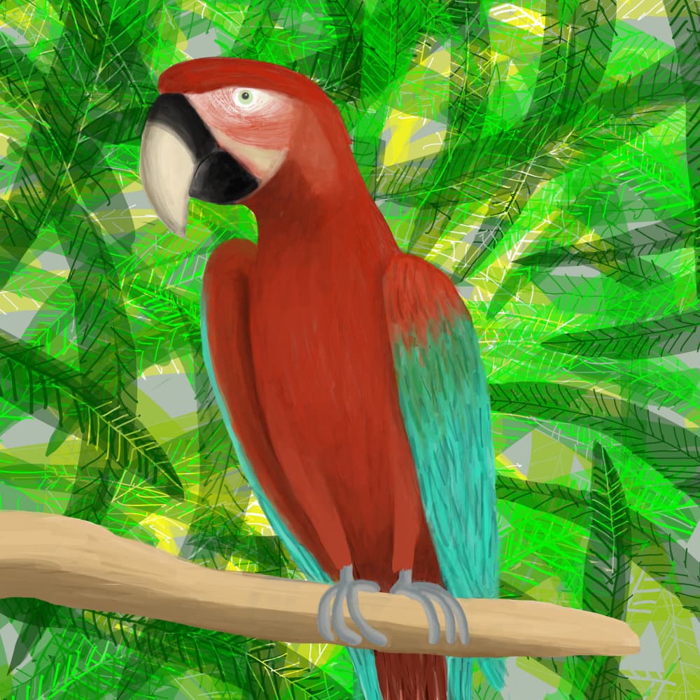 Vibrant Red Macaw by Carla Daly — canvas wall art