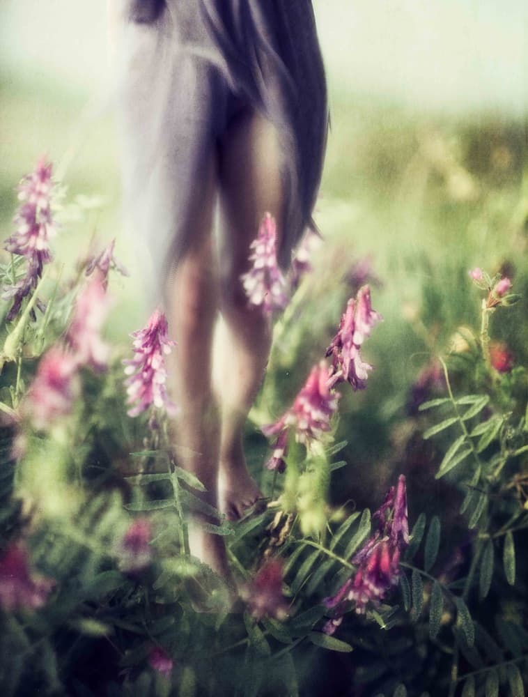 Dreamy Flower Walk by Charlaine Gerber — canvas wall art