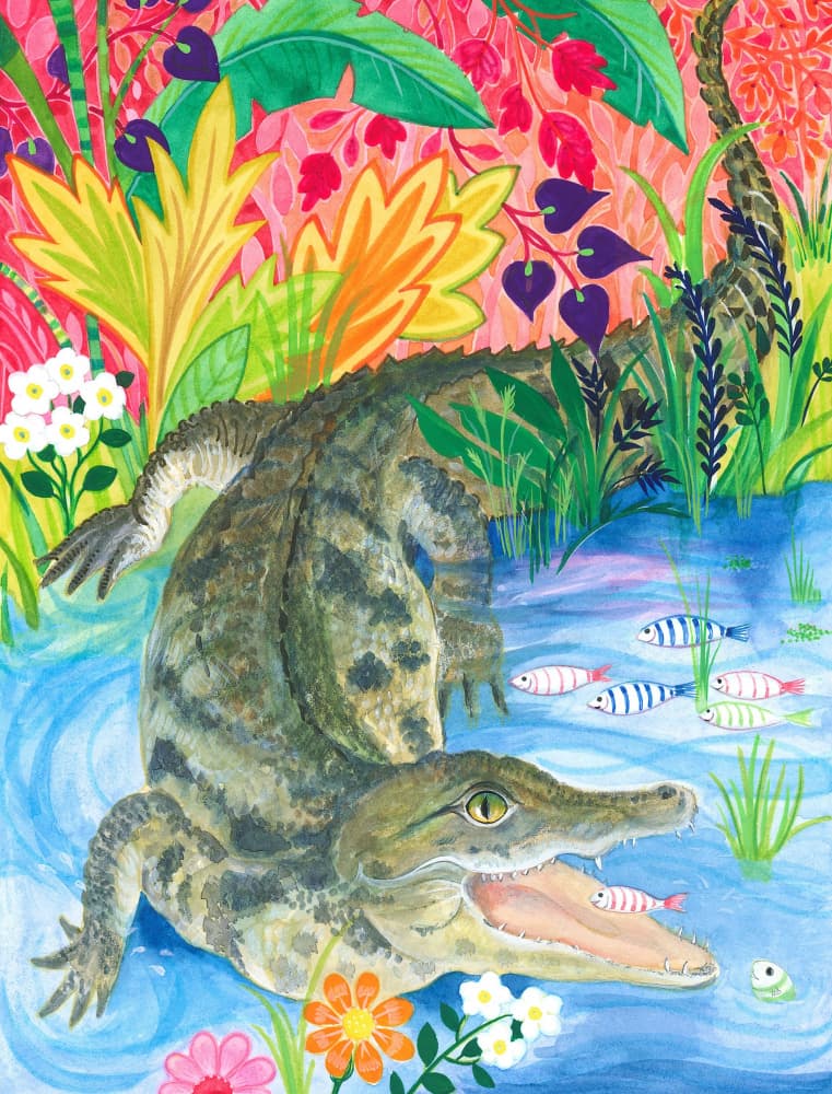Crocodile Smile by Isabelle Brent — canvas wall art