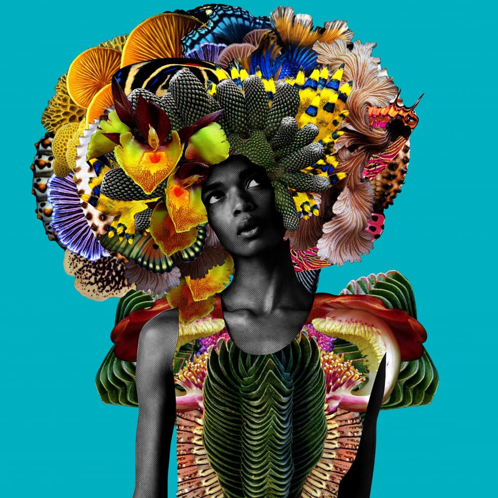 Vibrant Nature Queen by Lolita Lorenzo — canvas wall art