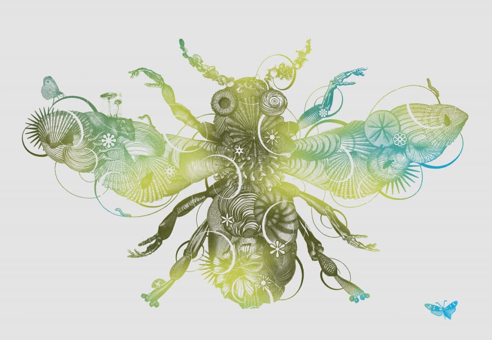 Intricate Green Beetle by Jaco Putker — canvas wall art