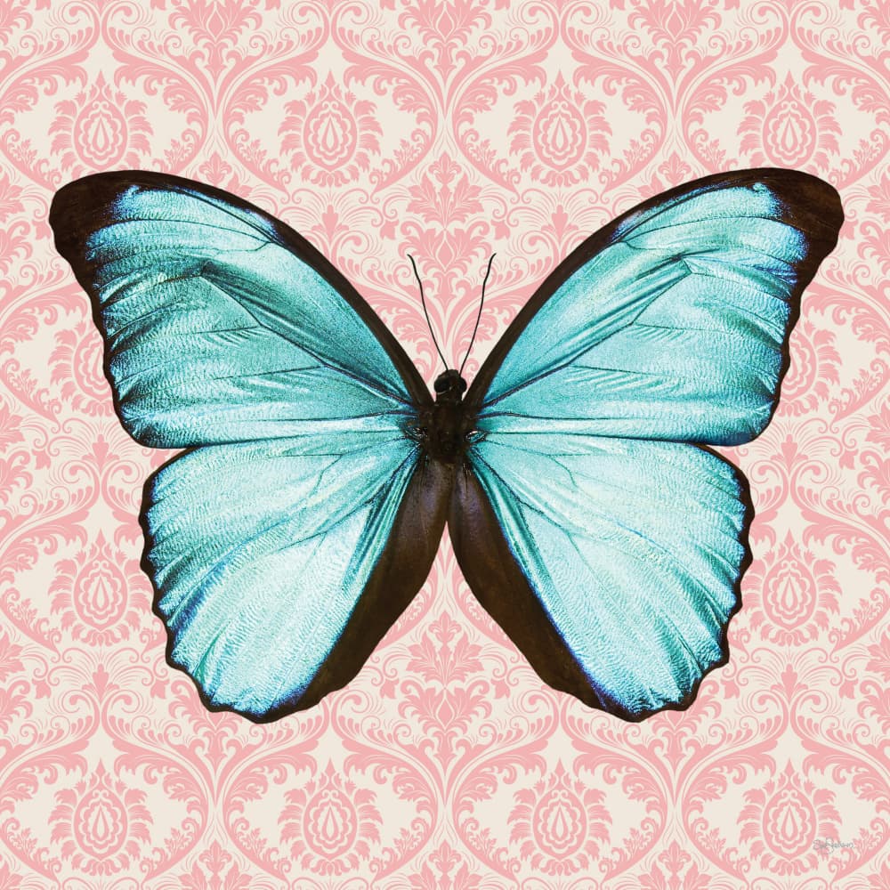 Blue Butterfly Damask Pattern by Sue Skellern — canvas wall art
