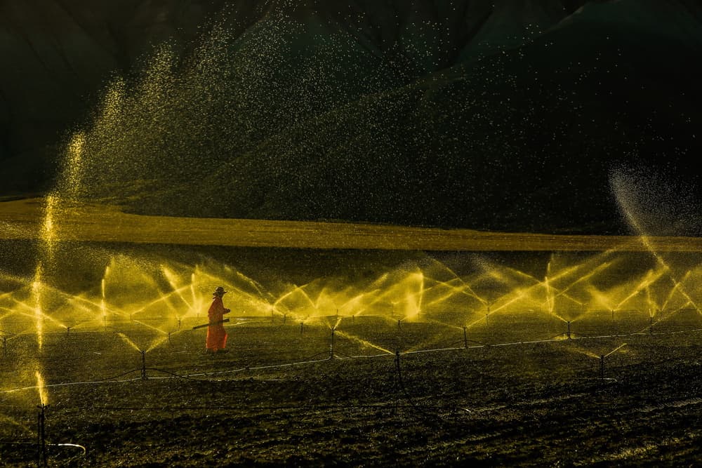 Glowing Farm Sprinklers by Ummu Nisan Kandilcioglu — canvas wall art