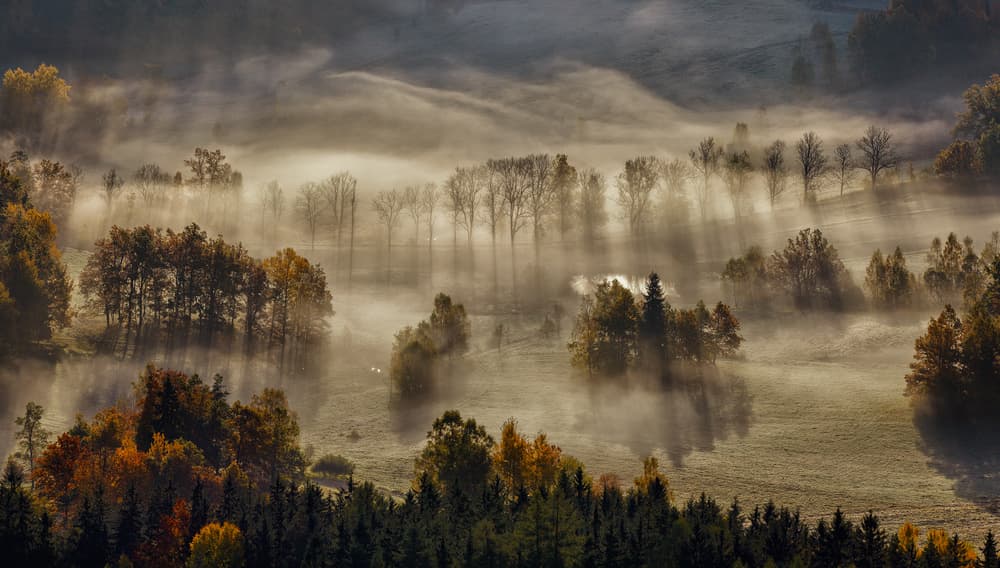 Sunlit Autumn Valley by Tomasz Rojek — canvas wall art