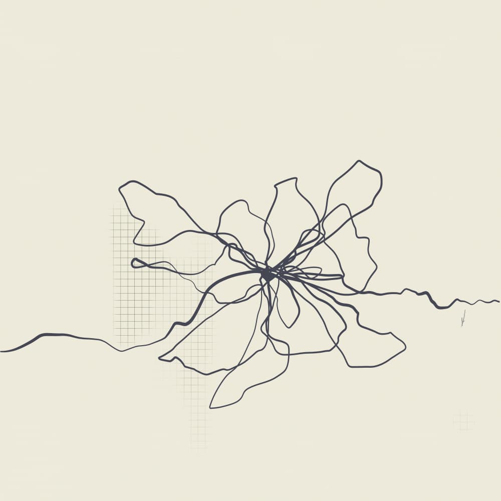 Organic Line Bloom by Ankie Kooi — canvas wall art