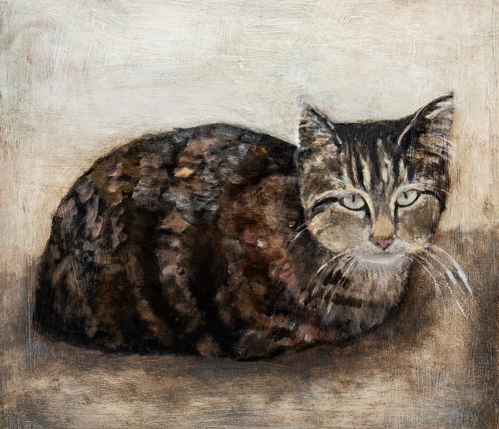 Curious Tabby Cat by Claire Lerner — canvas wall art