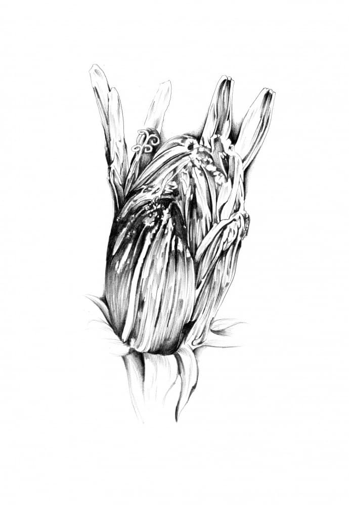 Adorned Botanical Hand by Kulik — canvas wall art