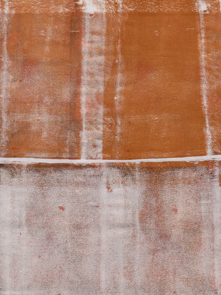 Distressed Earthy Texture by Dina Dankers — canvas wall art