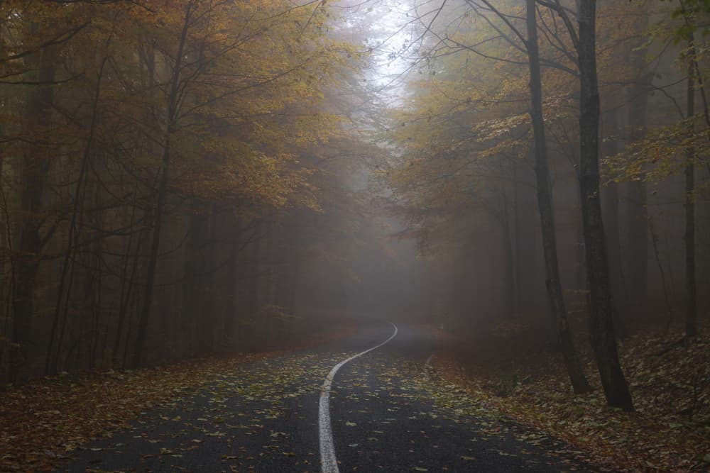 Winding Foggy Road by Alexandru Ionut Coman — canvas wall art