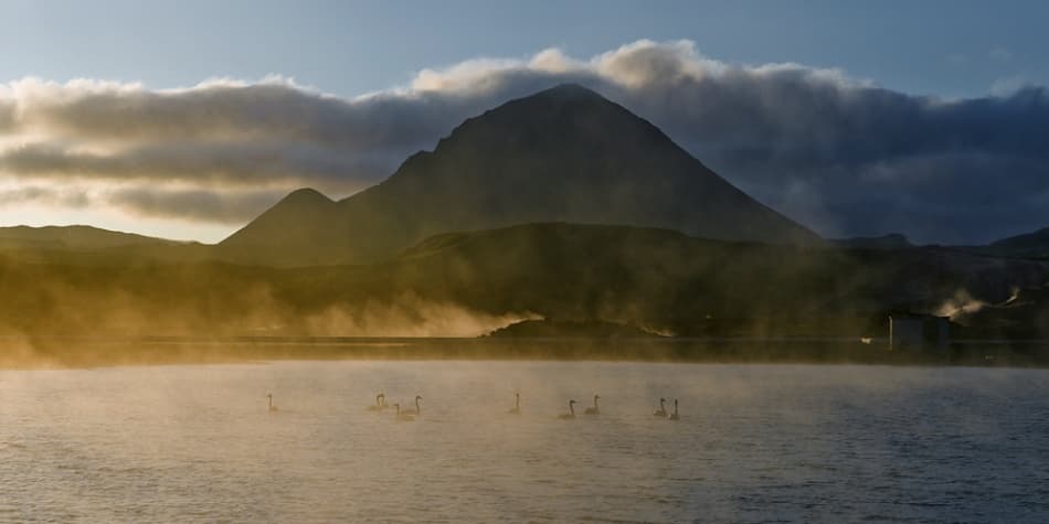 Misty Lake Swans Sunrise by Jure Kravanja — canvas wall art